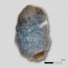 Kappenkratzer | Foto: David Wemhöner (© Landesamt für Archäologie Sachsen)