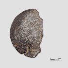 Meißner Groschen | Foto: Uwe Schroeder (&copy; Landesamt für Archäologie Sachsen)