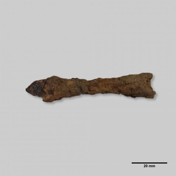 Armbrustbolzen | Foto: Michael Schmahl (© Landesamt für Archäologie Sachsen)