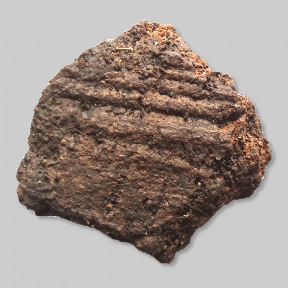 Scherbe jüngere Eisenzeit | Foto: Michael Schmahl (© Landesamt für Archäologie Sachsen)