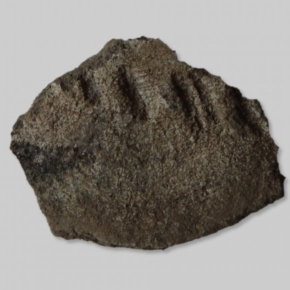 Scherbe ältere Eisenzeit | Foto: Michael Schmahl (© Landesamt für Archäologie Sachsen)