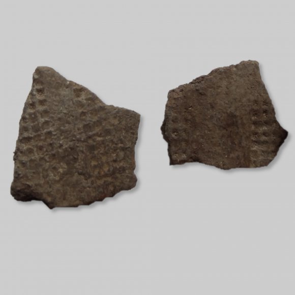 Scherbe römische Kaiserzeit | Foto: Michael Schmahl (© Landesamt für Archäologie Sachsen)