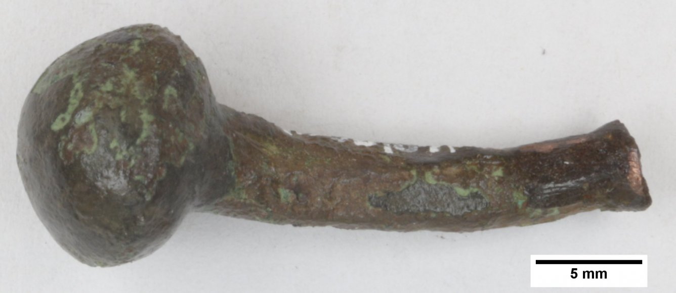 Gewandnadelkopf | Foto: LfA (© Landesamt für Archäologie Sachsen)