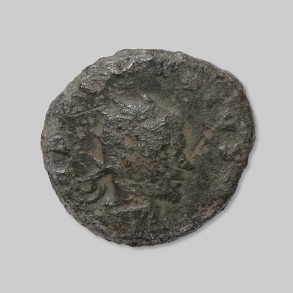 Römische Münze | Foto: Michael Schmahl (© Landesamt für Archäologie Sachsen)