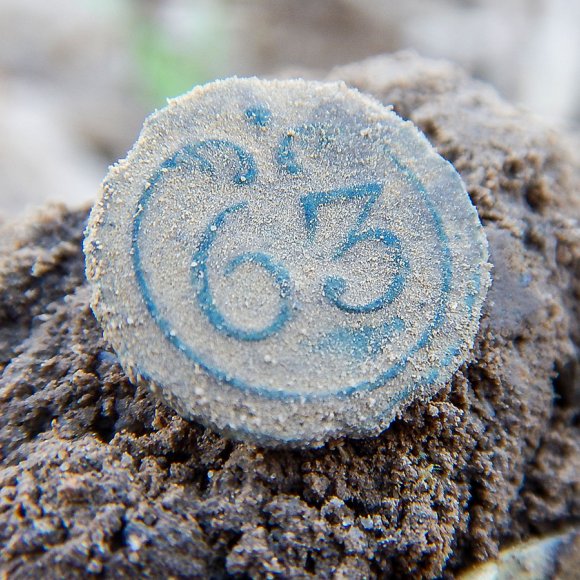 Regimentsknopf 63 | Foto: Uwe Schroeder (© Landesamt für Archäologie Sachsen)