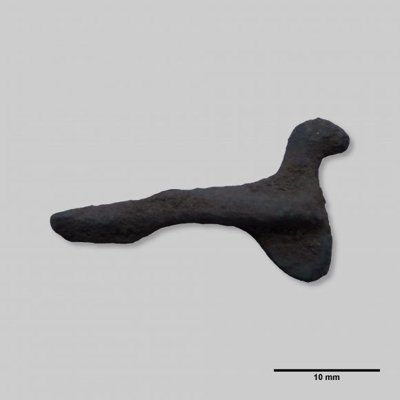 Vogelfibel / Taubenfibel | Foto: Michael Schmahl (© Landesamt für Archäologie Sachsen)