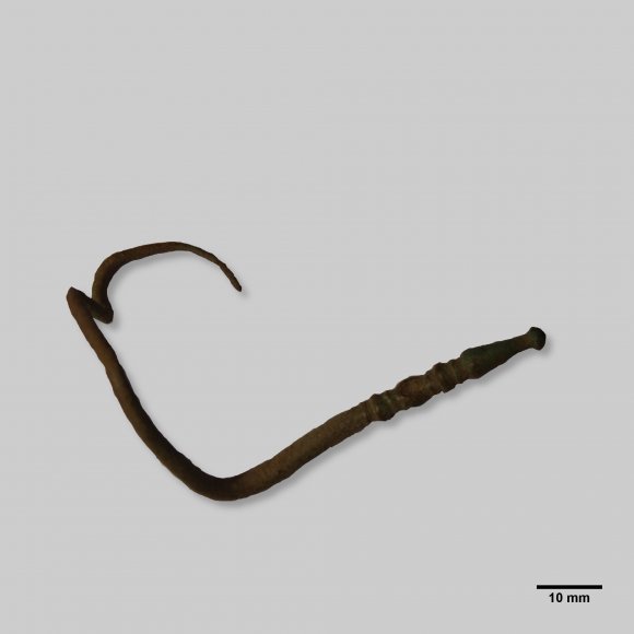 Gewandnadel | Foto: Michael Schmahl (© Landesamt für Archäologie Sachsen)
