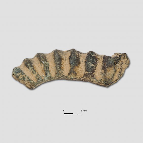 Armring Fragment | Foto: Uwe Schroeder (© Landesamt für Archäologie Sachsen)