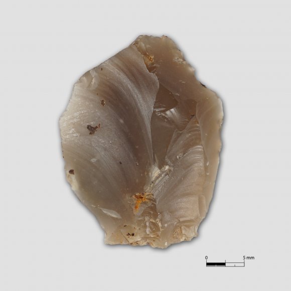 Kratzer oder Kerbrest | Foto: Uwe Schroeder (© Landesamt für Archäologie Sachsen)