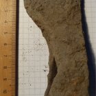 germanische Axt | Foto: LfA Sachsen (© Landesamt für Archäologie Sachsen)