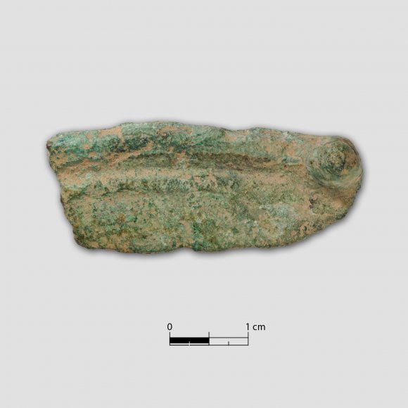 Knopfsichel, Fragment - 