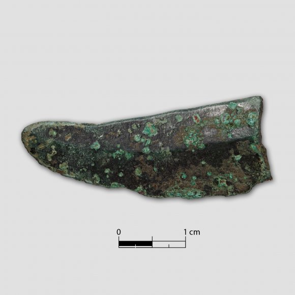 Bronzesichel, Spitze - Spitze einer fragmentierten Bronzesichel mit Mittelrippe.