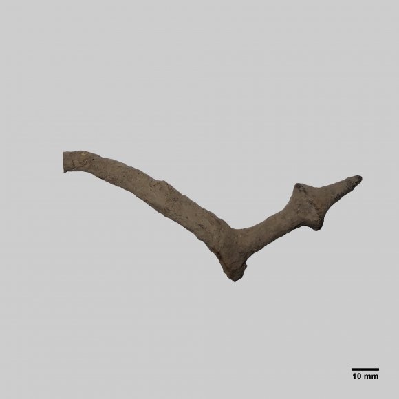 Reitersporn | Foto: Michael Schmahl (© Landesamt für Archäologie Sachsen) Reitersporn - mittelalterlicher Reitersporn